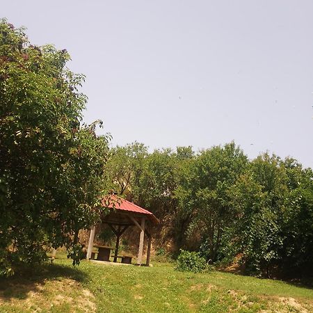Retro Vendeghaz Villa Nagyharsany Exterior photo