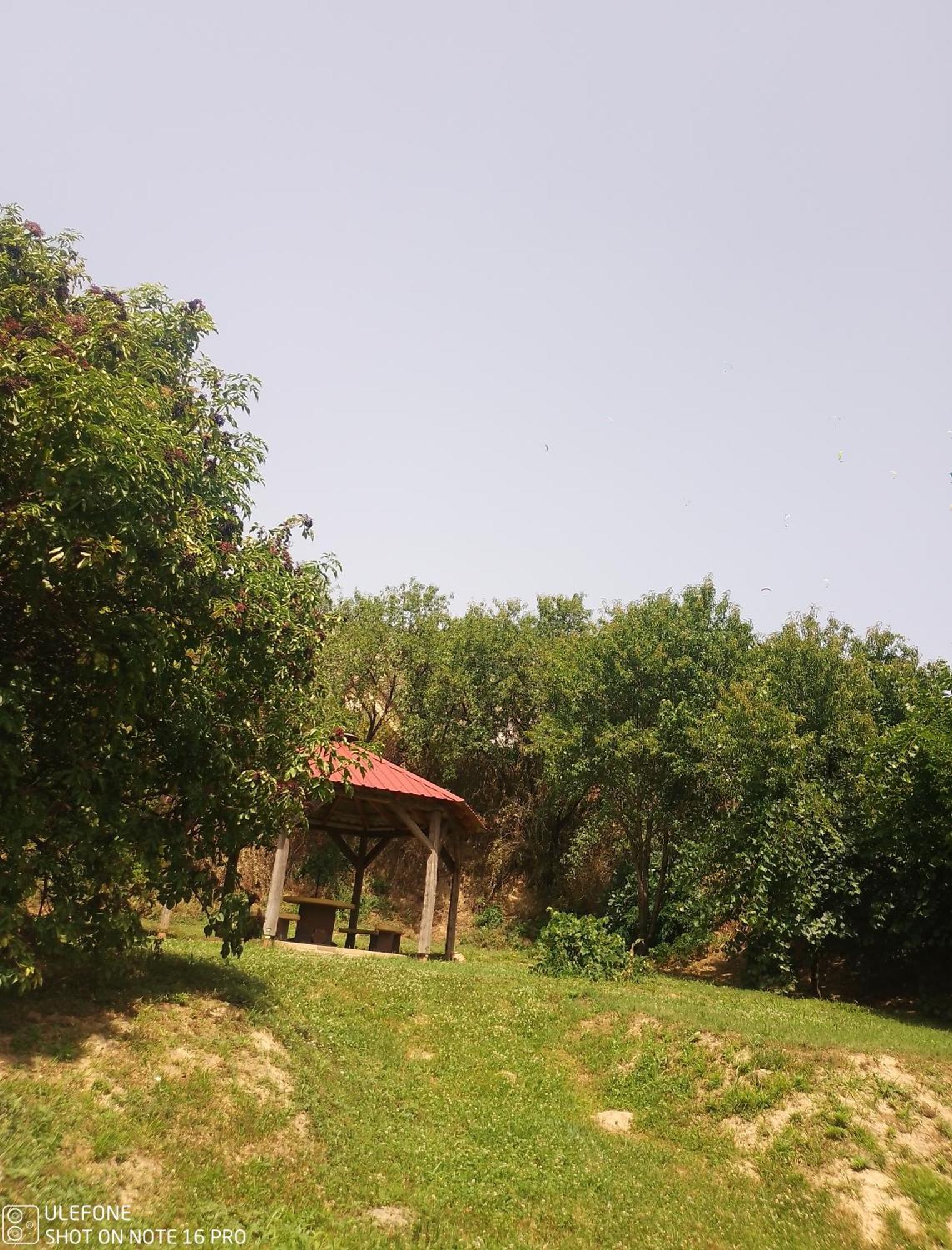 Retro Vendeghaz Villa Nagyharsany Exterior photo
